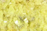 2.9" Sulfur Crystal Cluster on Matrix - Nevada - #129741-2